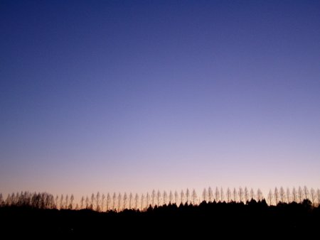 090125 008.jpg