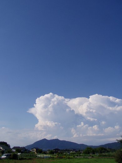 201107010 005.jpg
