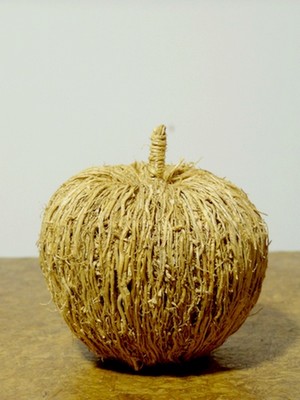 20130704apple.jpg