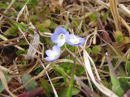 ws-image-110316.jpg
